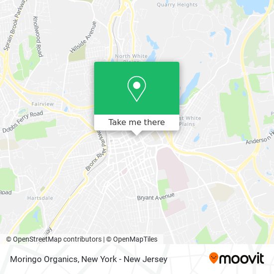 Moringo Organics map