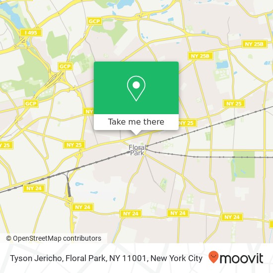Mapa de Tyson Jericho, Floral Park, NY 11001