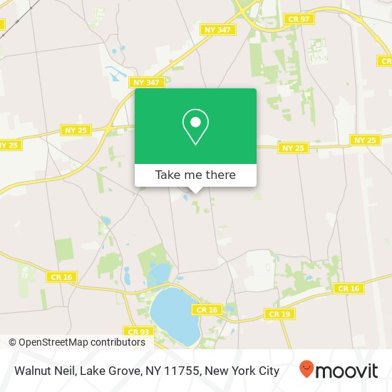 Mapa de Walnut Neil, Lake Grove, NY 11755