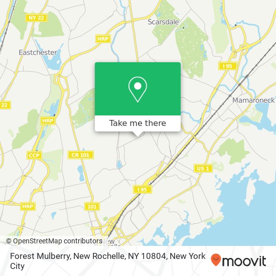 Forest Mulberry, New Rochelle, NY 10804 map