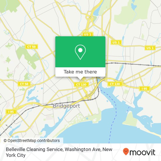 Belleville Cleaning Service, Washington Ave map