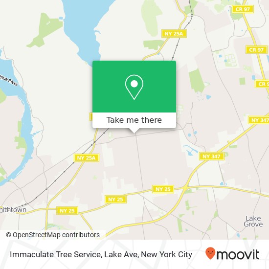 Mapa de Immaculate Tree Service, Lake Ave