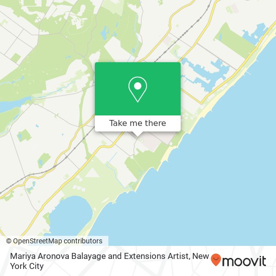 Mariya Aronova Balayage and Extensions Artist map