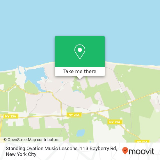Mapa de Standing Ovation Music Lessons, 113 Bayberry Rd