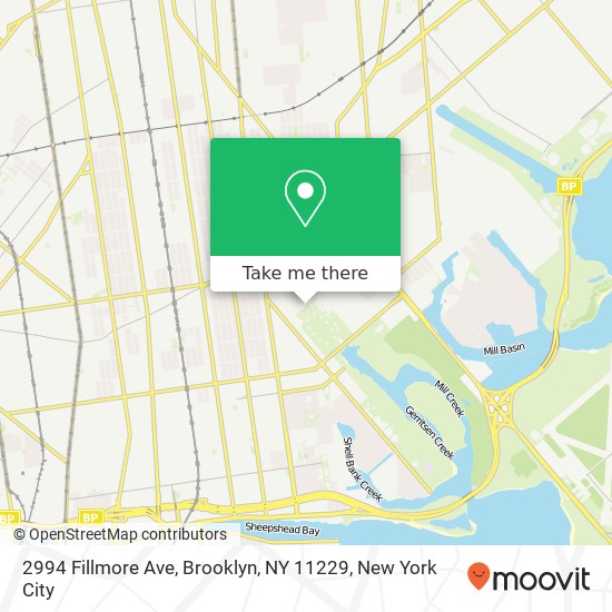 Mapa de 2994 Fillmore Ave, Brooklyn, NY 11229