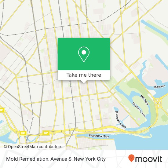 Mold Remediation, Avenue S map