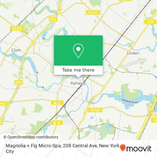 Mapa de Magnolia + Fig Micro-Spa, 208 Central Ave
