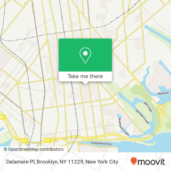 Mapa de Delamere Pl, Brooklyn, NY 11229