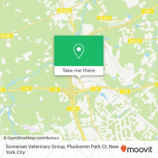 Mapa de Somerset Veterinary Group, Pluckemin Park Ct