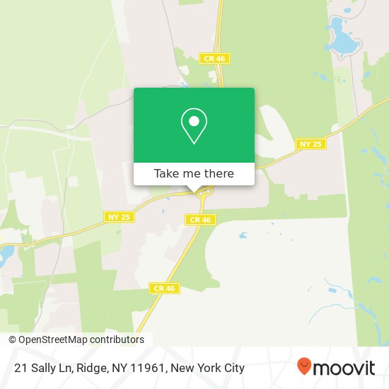 21 Sally Ln, Ridge, NY 11961 map