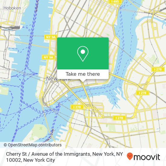 Cherry St / Avenue of the Immigrants, New York, NY 10002 map
