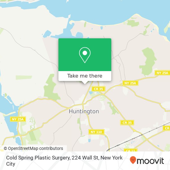 Cold Spring Plastic Surgery, 224 Wall St map