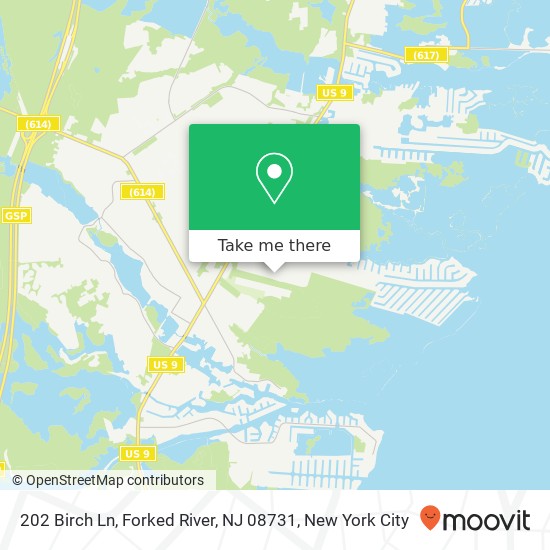 202 Birch Ln, Forked River, NJ 08731 map