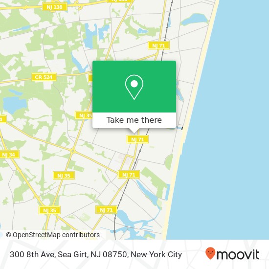 Mapa de 300 8th Ave, Sea Girt, NJ 08750