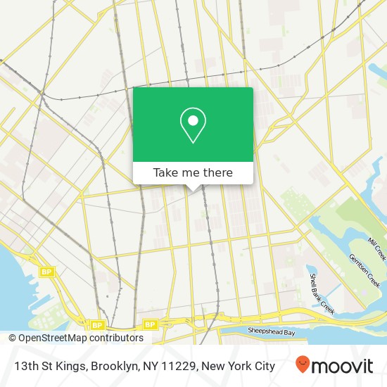13th St Kings, Brooklyn, NY 11229 map