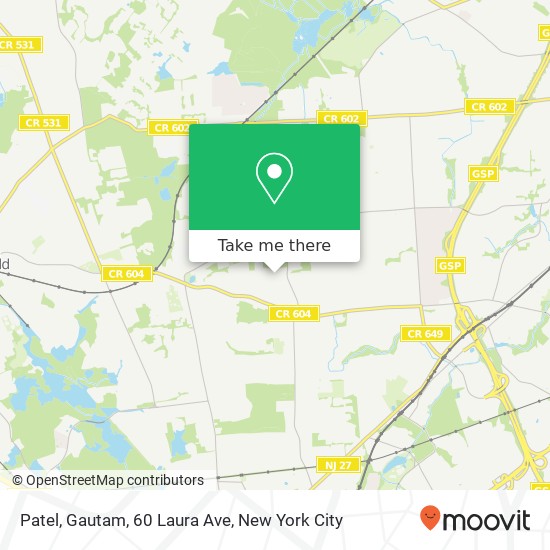 Patel, Gautam, 60 Laura Ave map