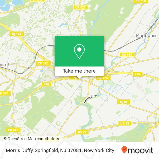 Mapa de Morris Duffy, Springfield, NJ 07081