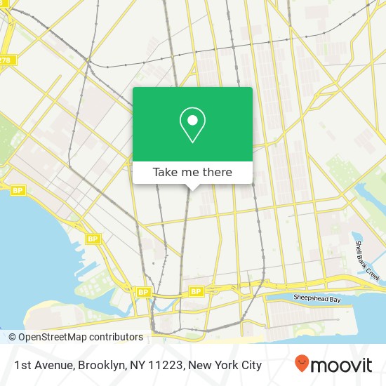 1st Avenue, Brooklyn, NY 11223 map