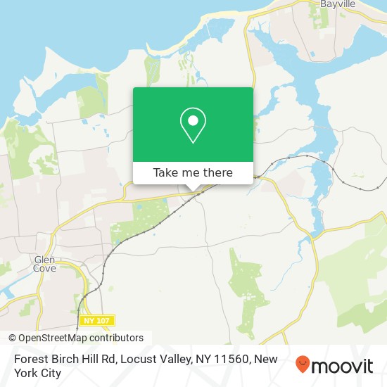 Forest Birch Hill Rd, Locust Valley, NY 11560 map