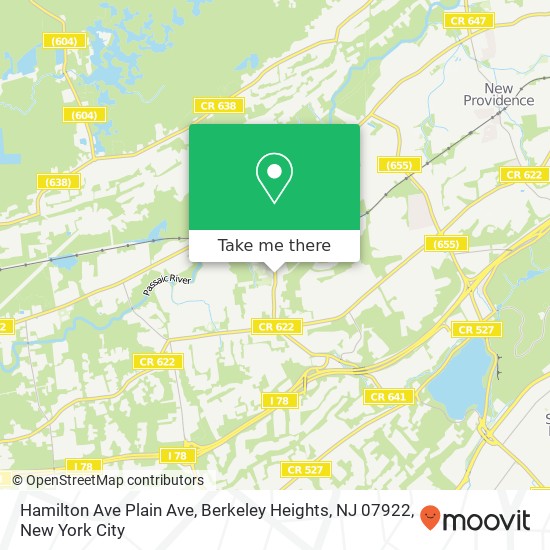 Mapa de Hamilton Ave Plain Ave, Berkeley Heights, NJ 07922