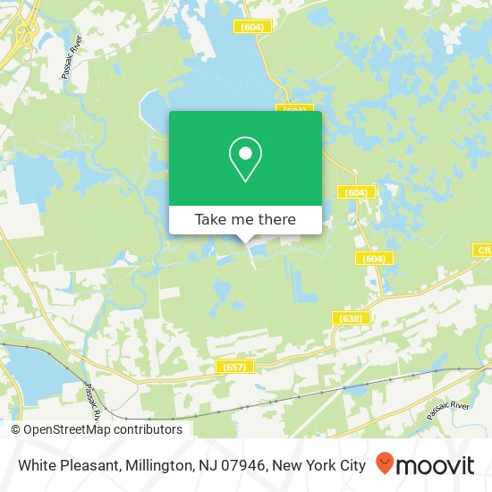 Mapa de White Pleasant, Millington, NJ 07946