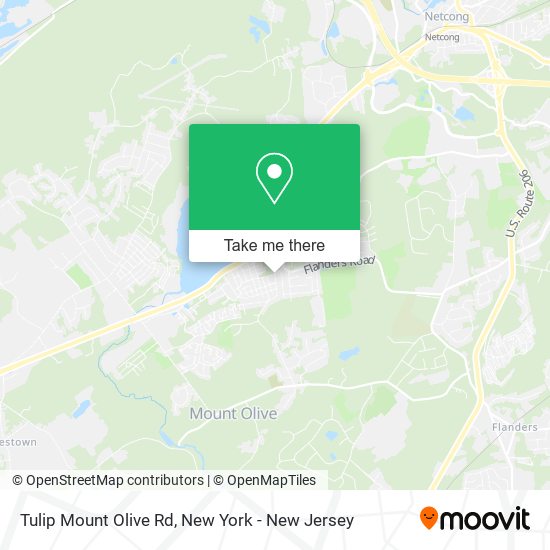 Tulip Mount Olive Rd map