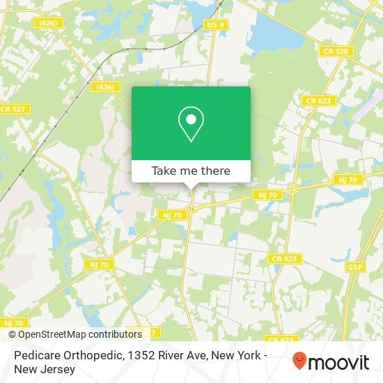 Mapa de Pedicare Orthopedic, 1352 River Ave