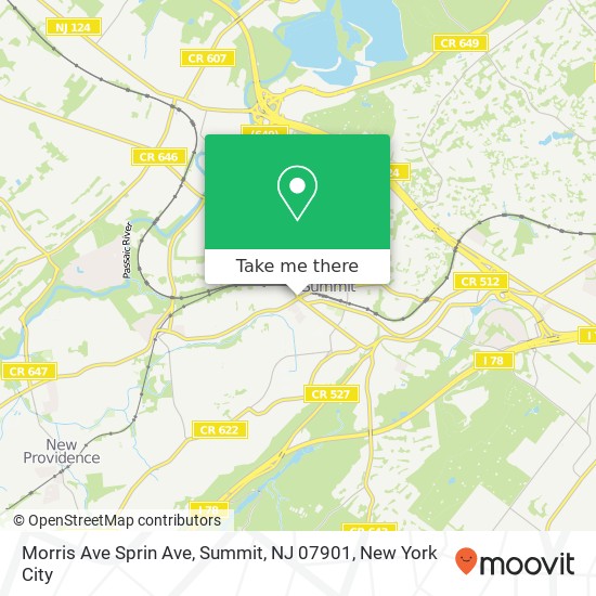 Mapa de Morris Ave Sprin Ave, Summit, NJ 07901