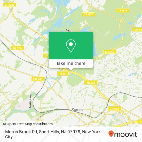 Morris Brook Rd, Short Hills, NJ 07078 map