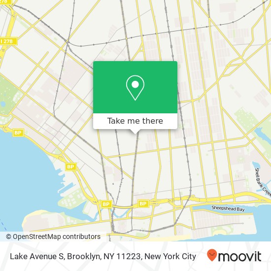 Lake Avenue S, Brooklyn, NY 11223 map