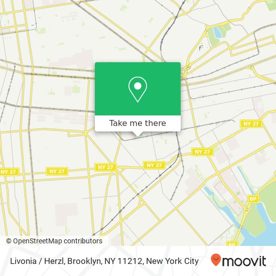 Mapa de Livonia / Herzl, Brooklyn, NY 11212