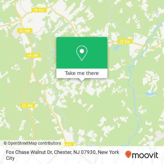 Mapa de Fox Chase Walnut Dr, Chester, NJ 07930