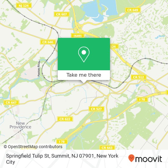 Mapa de Springfield Tulip St, Summit, NJ 07901