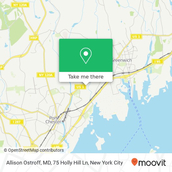 Mapa de Allison Ostroff, MD, 75 Holly Hill Ln