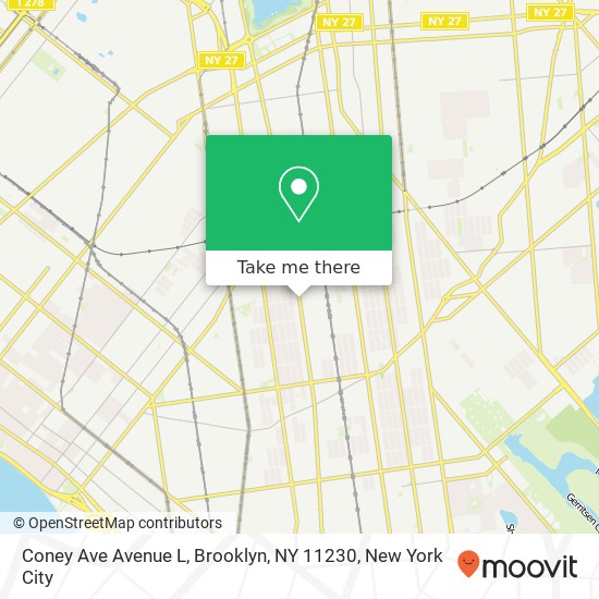 Coney Ave Avenue L, Brooklyn, NY 11230 map