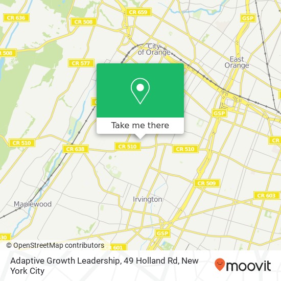 Adaptive Growth Leadership, 49 Holland Rd map