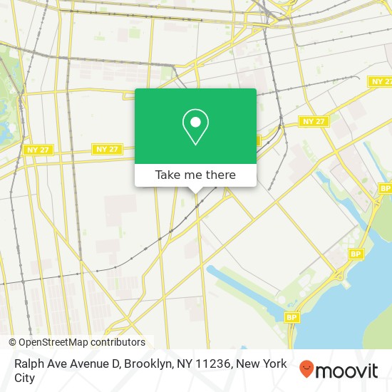 Ralph Ave Avenue D, Brooklyn, NY 11236 map