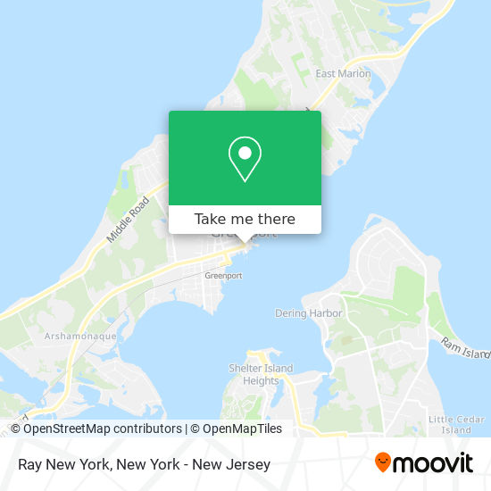 Ray New York map