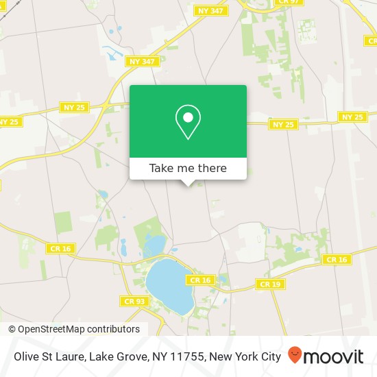 Mapa de Olive St Laure, Lake Grove, NY 11755