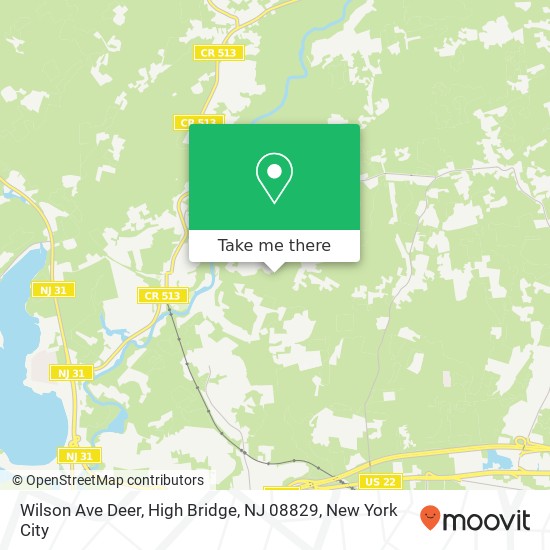 Wilson Ave Deer, High Bridge, NJ 08829 map