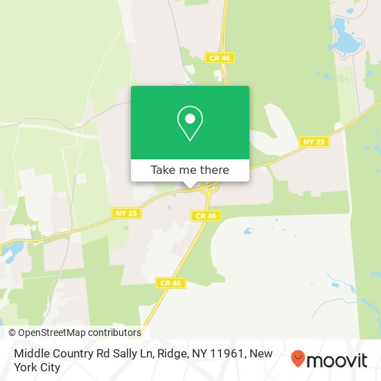 Middle Country Rd Sally Ln, Ridge, NY 11961 map