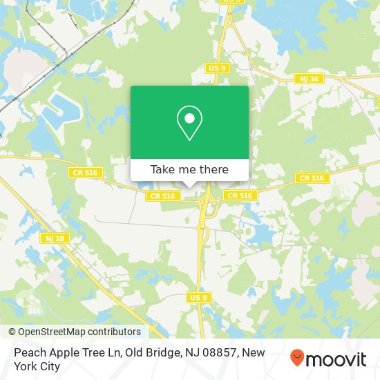 Peach Apple Tree Ln, Old Bridge, NJ 08857 map