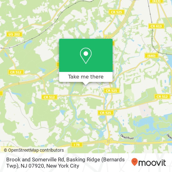 Brook and Somerville Rd, Basking Ridge (Bernards Twp), NJ 07920 map