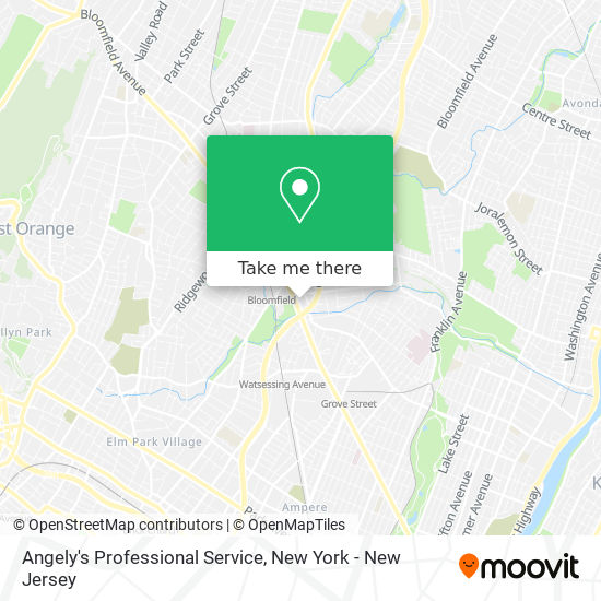 Angely's Professional Service map