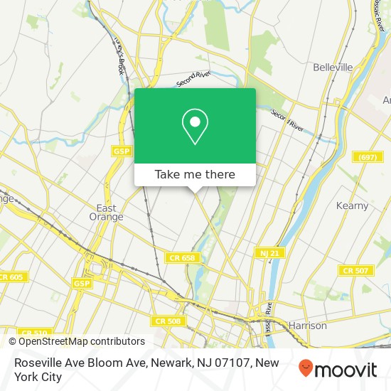 Mapa de Roseville Ave Bloom Ave, Newark, NJ 07107