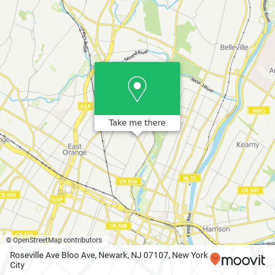 Roseville Ave Bloo Ave, Newark, NJ 07107 map