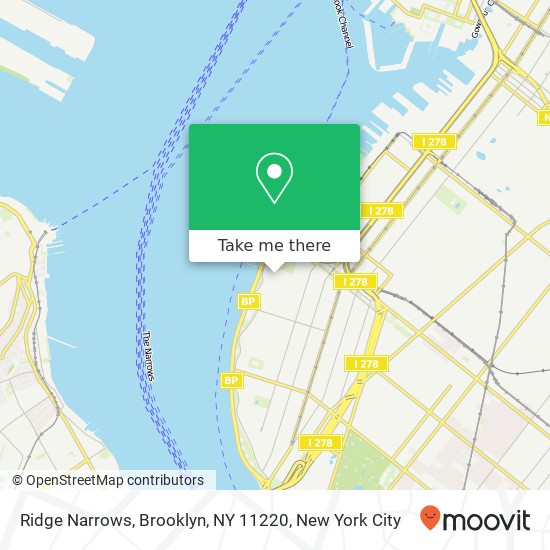 Ridge Narrows, Brooklyn, NY 11220 map