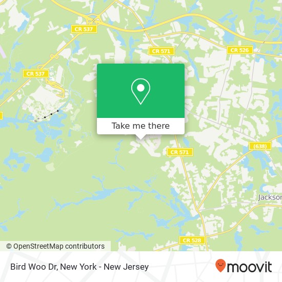 Mapa de Bird Woo Dr, Jackson, NJ 08527
