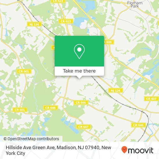 Hillside Ave Green Ave, Madison, NJ 07940 map