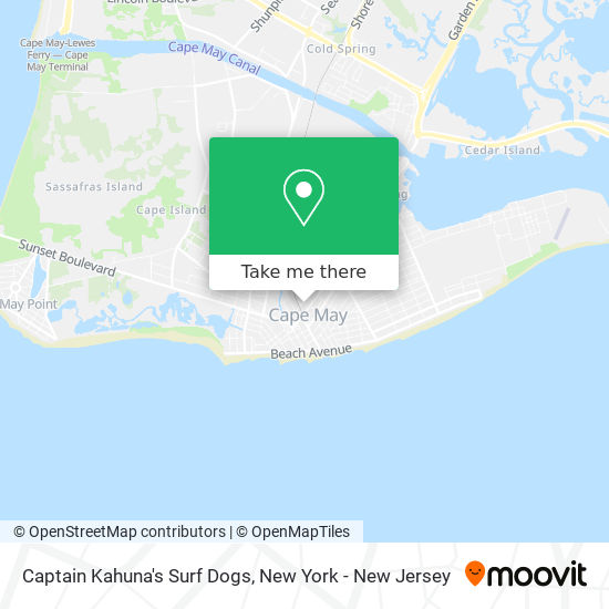 Captain Kahuna's Surf Dogs map